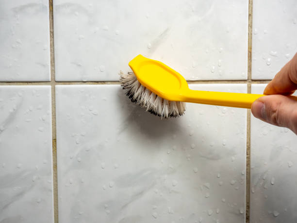 Best Mold Testing and Inspection Services in El Paso De Robles, CA