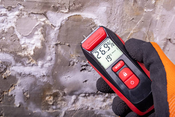 Best Basement Mold Remediation in El Paso De Robles, CA