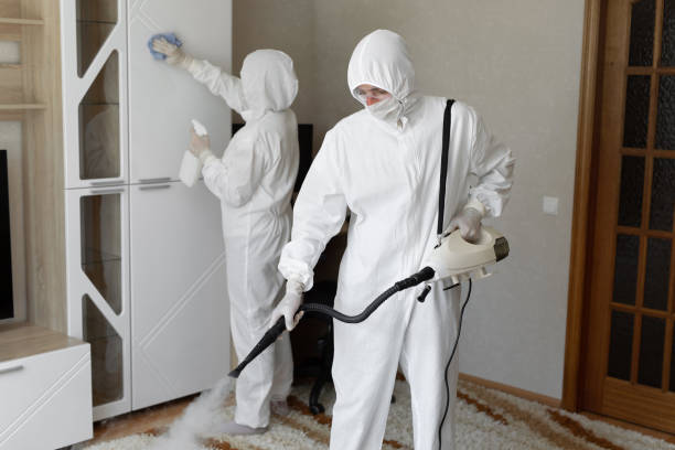 Best Mold Remediation for Schools in El Paso De Robles, CA